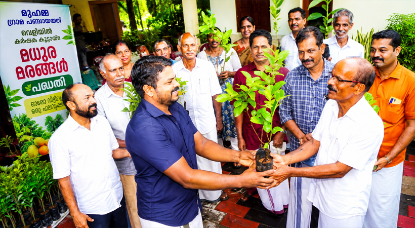 മുഹമ്മയിൽ ‘മധുര മരങ്ങൾ’ പദ്ധതിക്ക് തുടക്കം; ഓരോ വീട്ടിലേക്കും മധുരം പകരാൻ ഫലവൃക്ഷങ്ങളുമായി വെളിയിൽ കർഷക കൂട്ടായ്മ