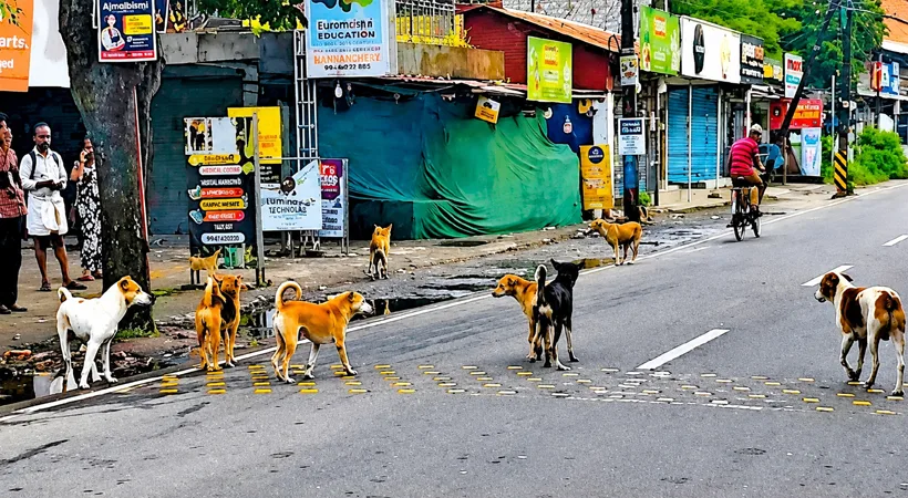 തെരുവുനായ്ക്കളുടെ ഭീതിയിൽ മണ്ണഞ്ചേരി ജംക്ഷൻ 🐕
